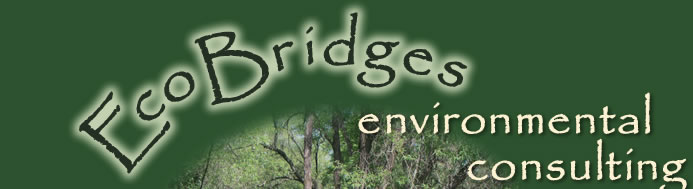 Eco Bridges Environmental Consulting, Anne Wallace, Principal and Founder